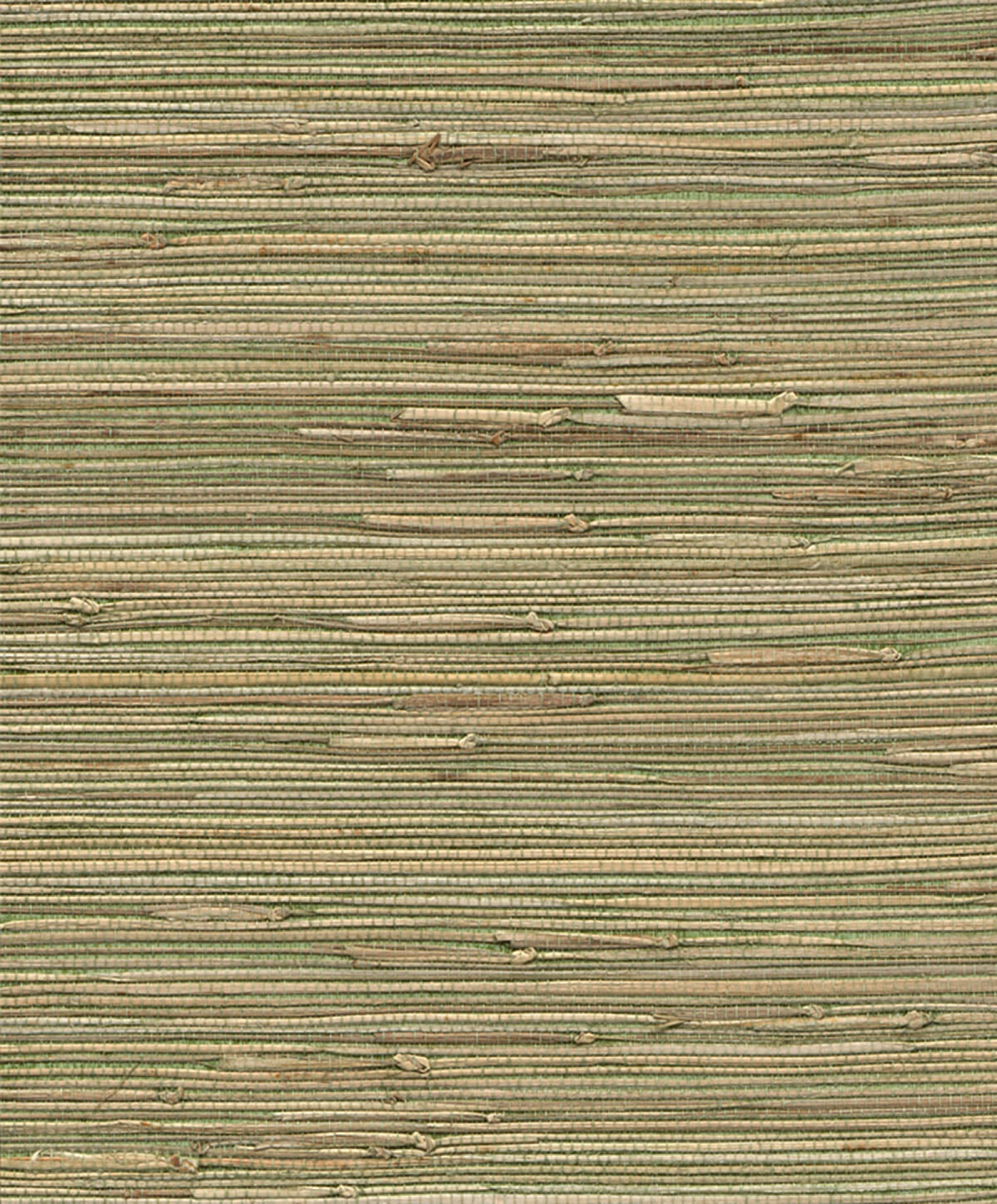 Emil & Hugo Contempo Gras Beige & Green